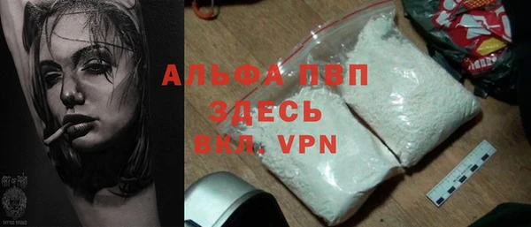 стафф Бородино