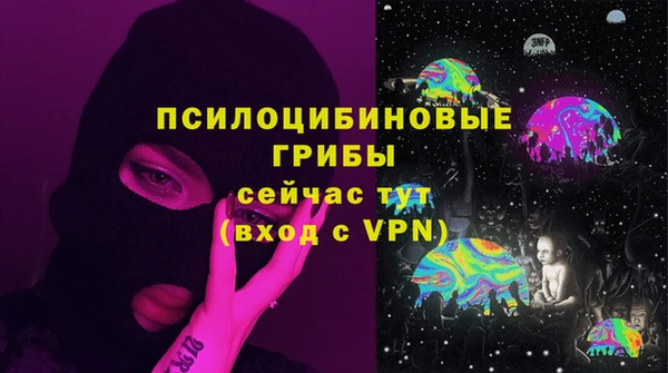 стафф Бородино