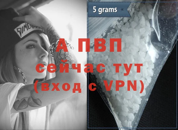 стафф Бородино