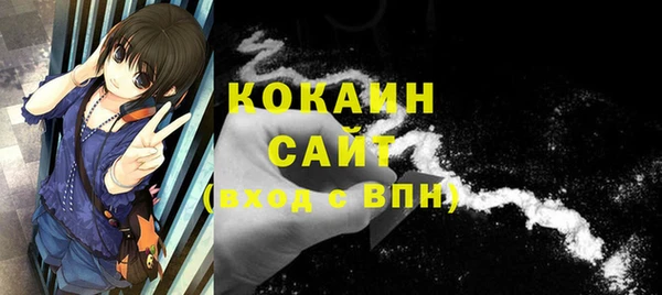 стафф Бородино