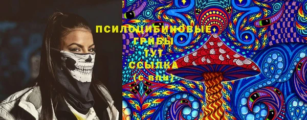 ECSTASY Бронницы