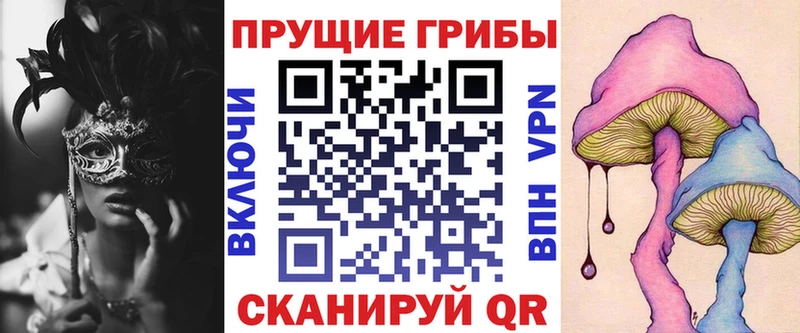 Псилоцибиновые грибы Psilocybine cubensis закладки Бородино