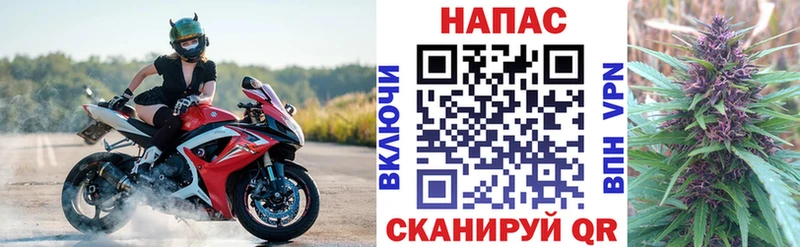 наркота  Бородино  Шишки марихуана THC 21% 